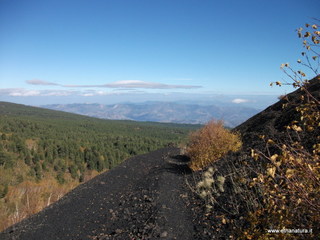nte Zappinazzo-04-11-2012 11-26-43